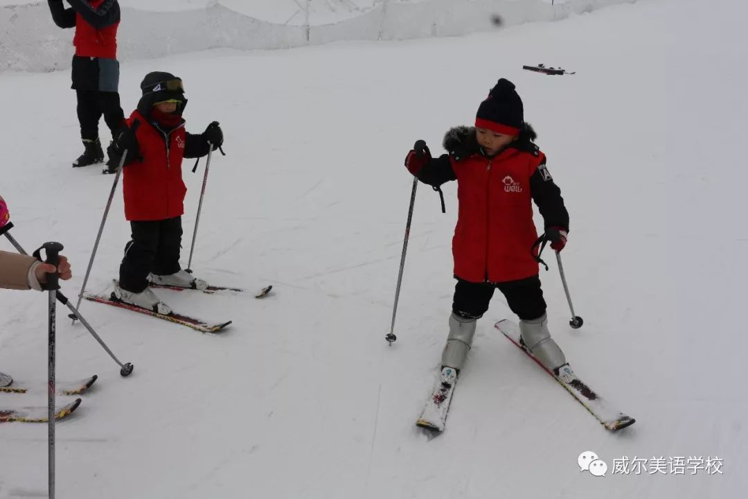 哈尔滨队坚韧不拔，力争前行